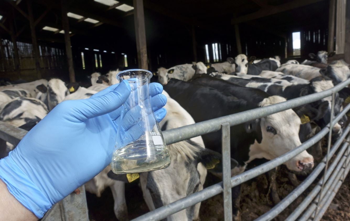 Business giants pile on pressure to cut antibiotics in global food chain