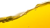 Save on packaging costs, reduce waste, and extend the shelf life of your products with ShelfLifeExtender* improved vegetable oils