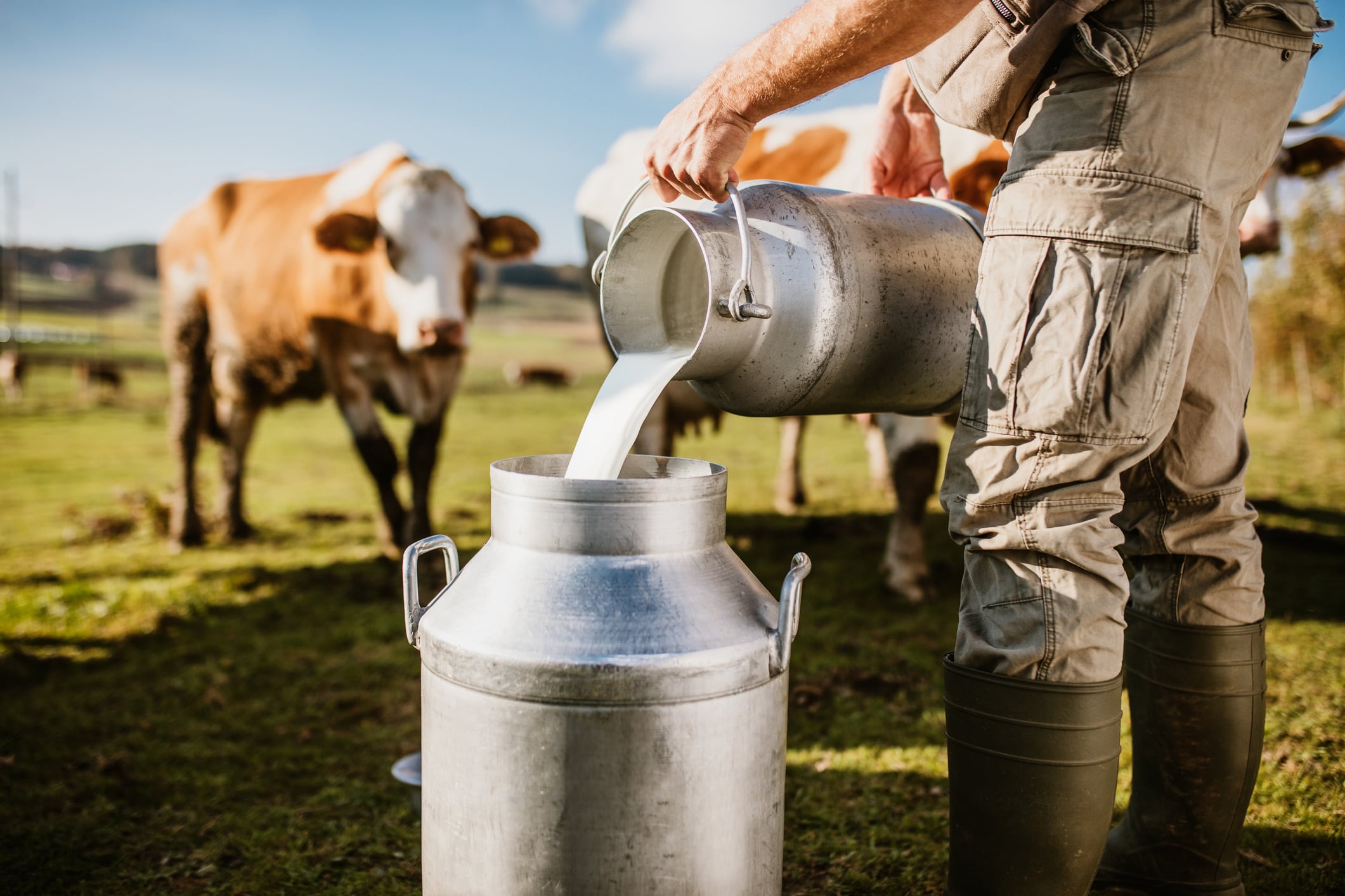 USDA orders mandatory raw milk testing for H5N1