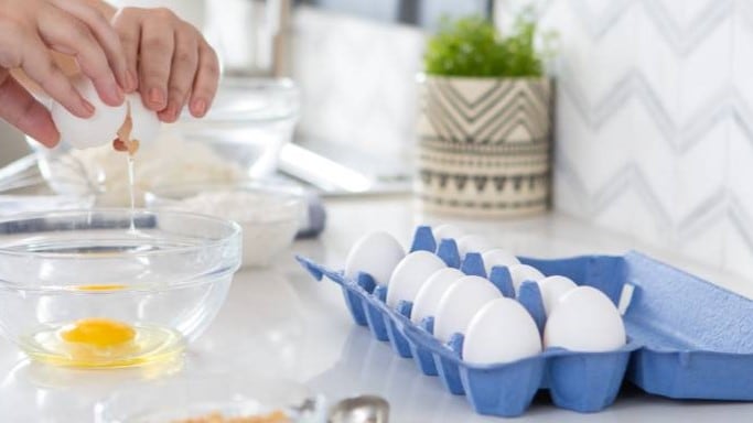 Cracking the US market with fiber-based egg cartons