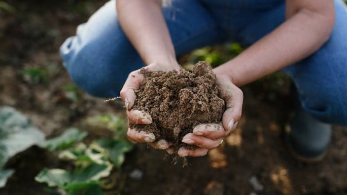 Harvesting change: How collaborative partnerships are key to the success of regenerative agriculture