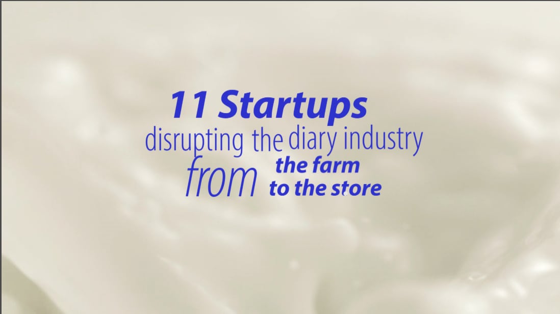 11 startups disrupting dairy across categories from the farm to store shelf 