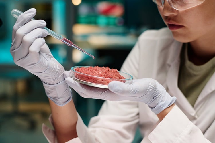 Filtration technique could slash the cost of cultivated meat