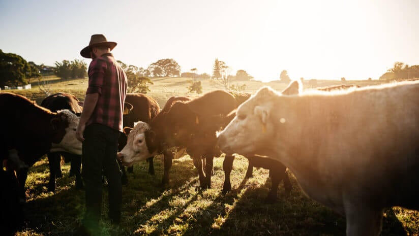 USDA concludes final round of funding to boost farmer support, lower grocery prices 