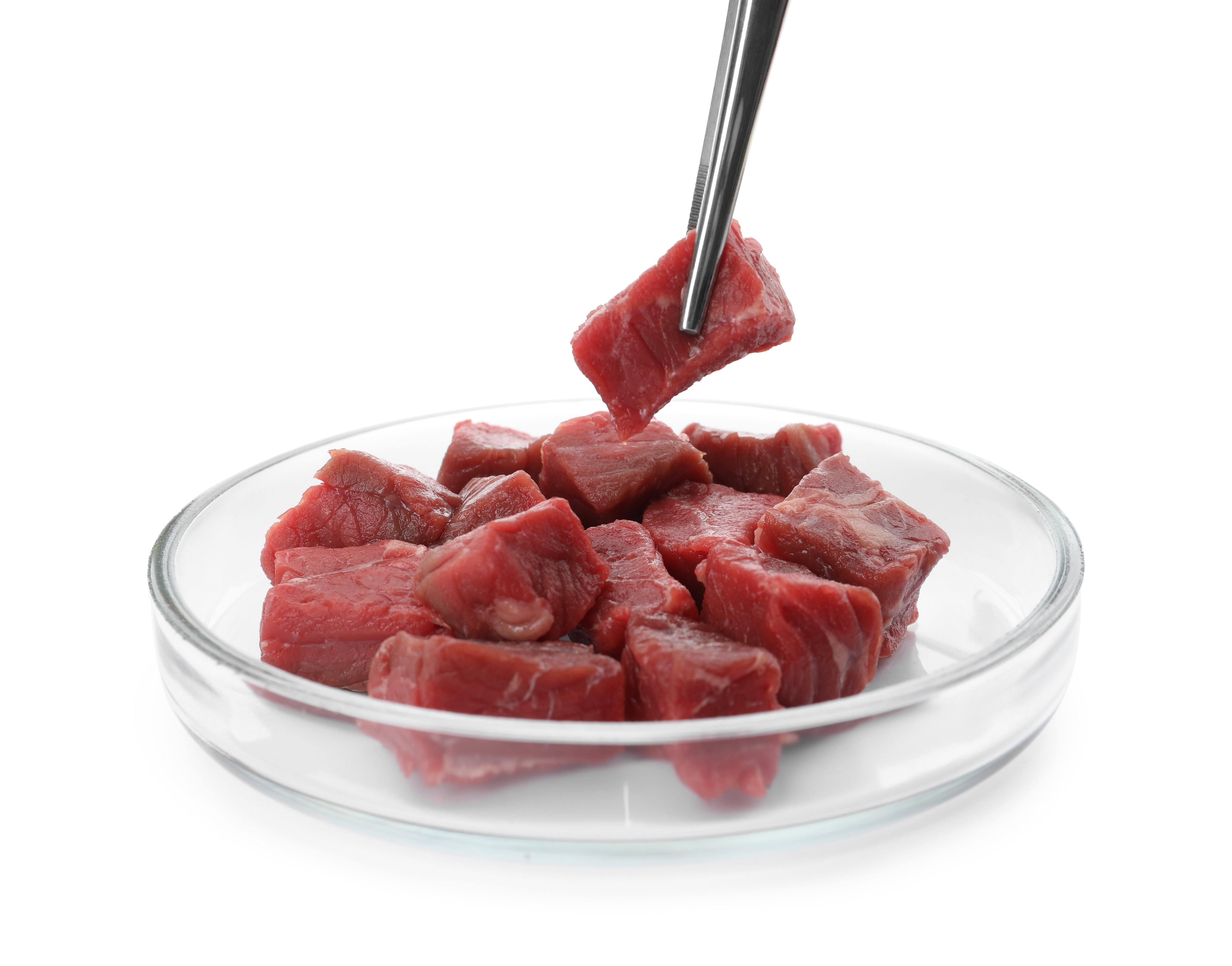 What’s in store for cultivated meat in 2025?