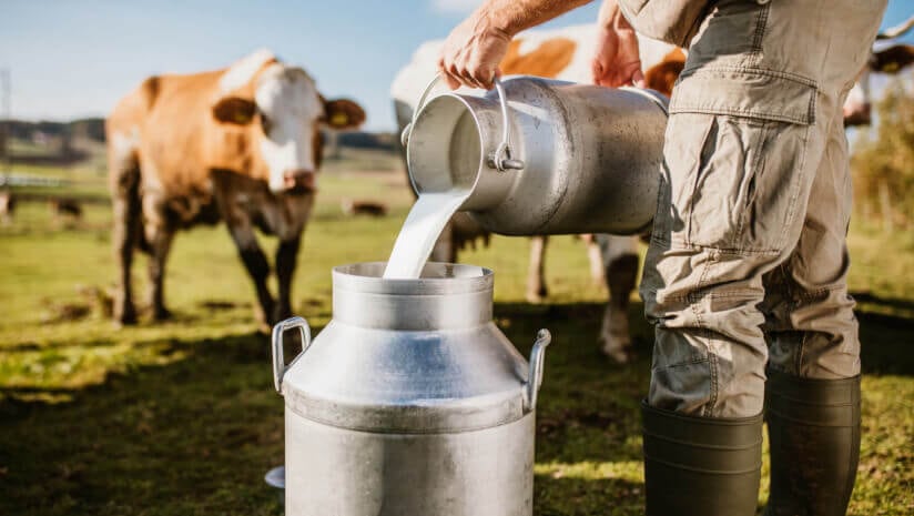 USDA grants $11.04m for dairy producers, businesses to ‘spur innovation’ across the country