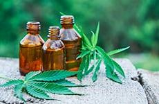 Where Next for Hemp & CBD?